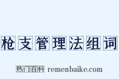 枪支管理法组词是什么意思的图片